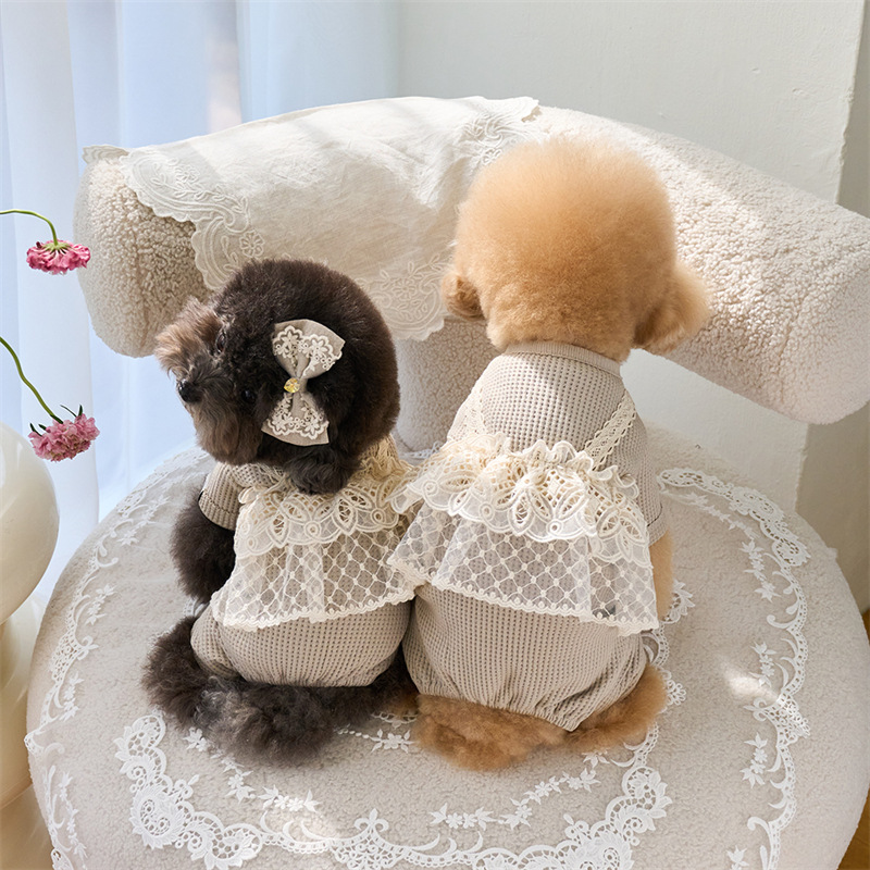 Pet Spring Jumpsuit Cute Lace  - Lace Teddy Lingerie recension och pris