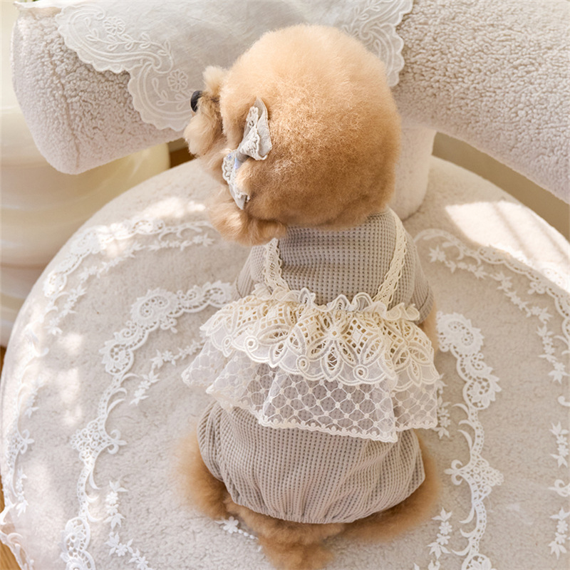 Pet Spring Jumpsuit Cute Lace  - Lace Teddy Lingerie recension och pris