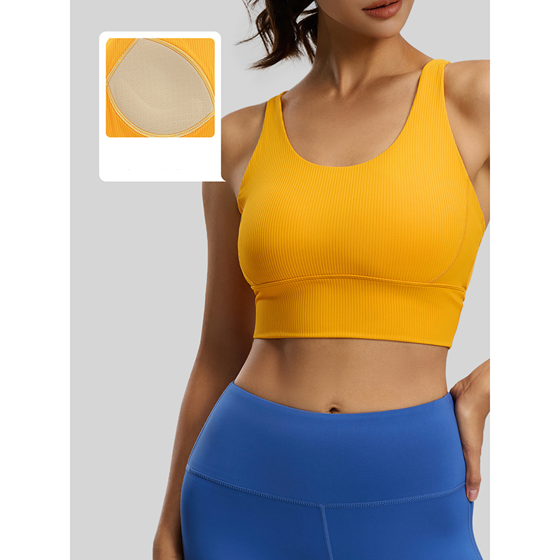 2026 New Women Ribbed High Imp - Sports Bra High Impact recension och pris