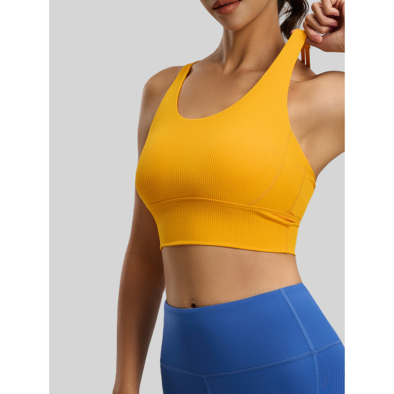 2026 New Women Ribbed High Imp - Sports Bra High Impact recension och pris